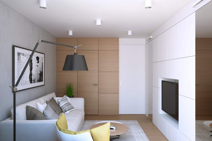 projekt salonu w mieszkaniu typu studio o powierzchni 43 metrów kwadratowych. m