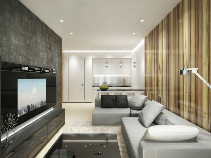 minimalist kitchen-living room