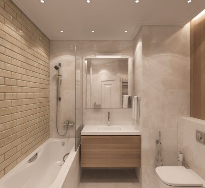 vannas istaba studijas tipa dzīvoklī 50 kvadrātmetru platībā