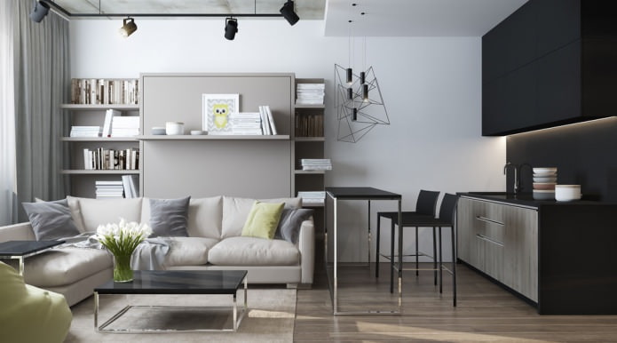 Diseño moderno de una sala de estar combinada con una cocina en un apartamento tipo estudio.
