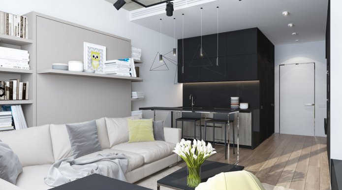 Mūsdienīgs dzīvojamās istabas un virtuves dizains studijas tipa dzīvoklī