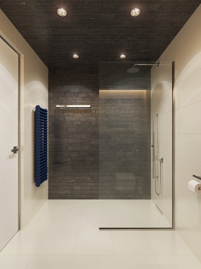 vannas istabas dizains studijas tipa dzīvoklī