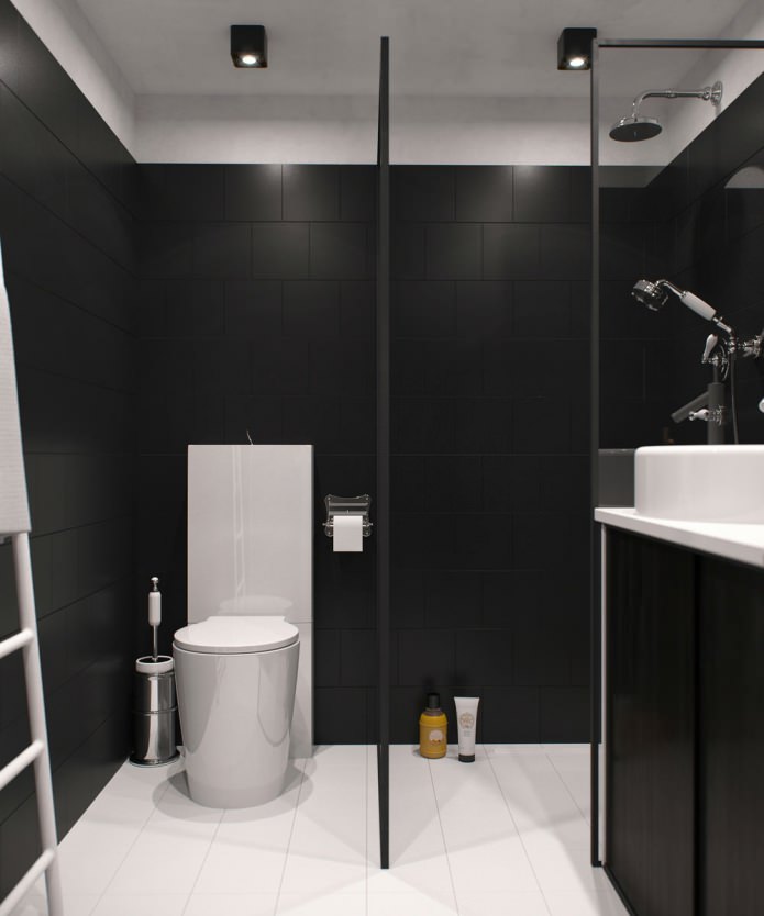 bathroom design in a studio apartment with high ceilings