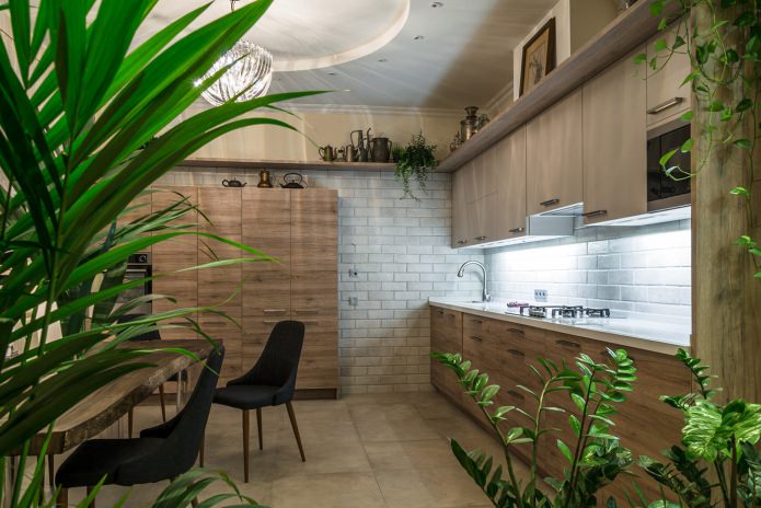 The design of the kitchen in an eco-style