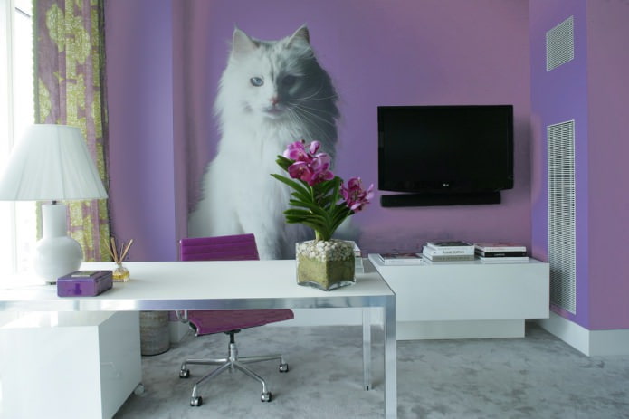 katė ant sienos kabinete