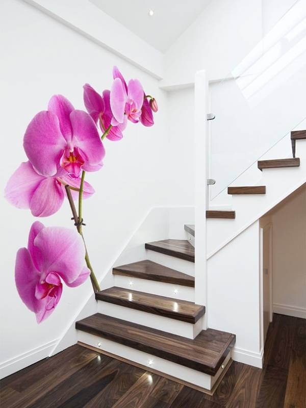 Sienas sienas ar orhideju
