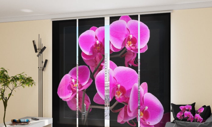 Cortinas japonesas de orquídeas