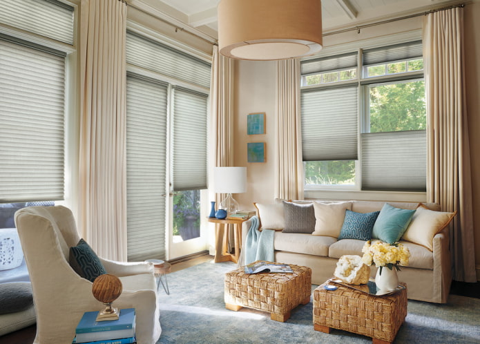blinds pleated in the living room interior