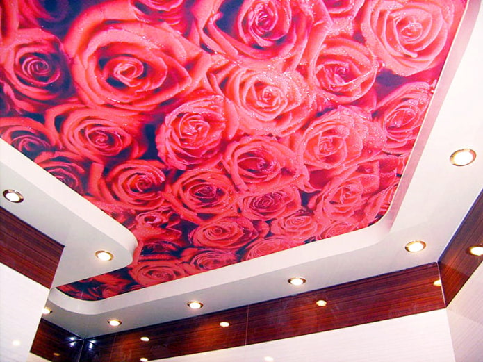 impression photo d'une rose rouge au plafond