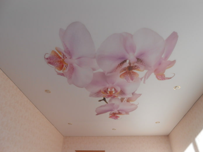 toile stretch orchidée