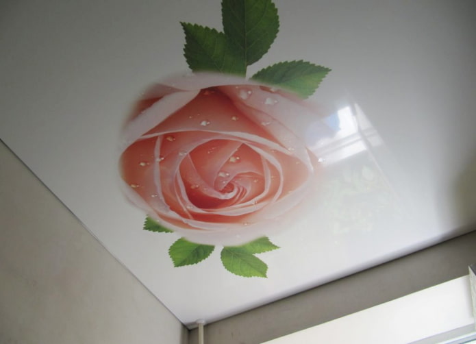 strečová tkanina s fototlačou vo forme ruže