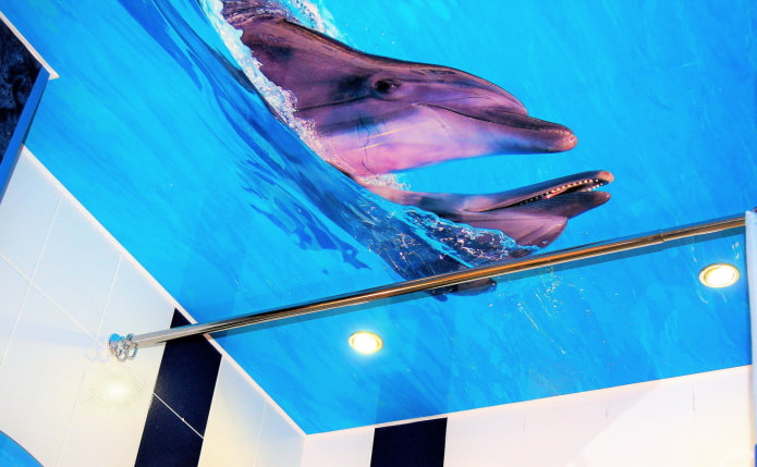 plafond dauphin dans la salle de bain