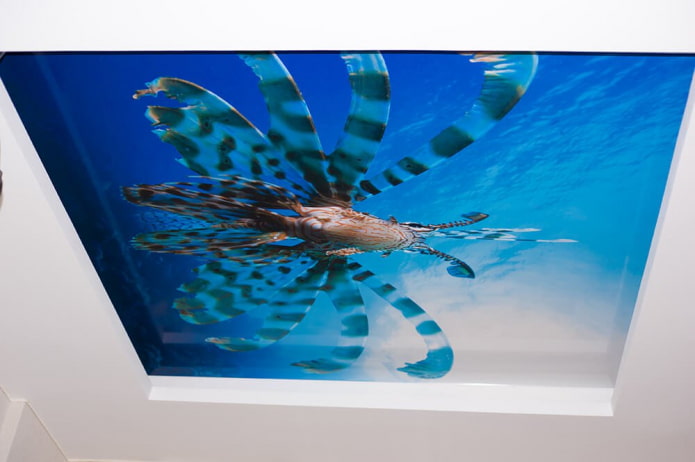 stretch-lerret med fotoutskrift under vann