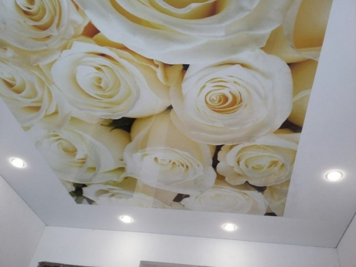 stretch ύφασμα με εκτύπωση φωτογραφιών με τη μορφή τριαντάφυλλου