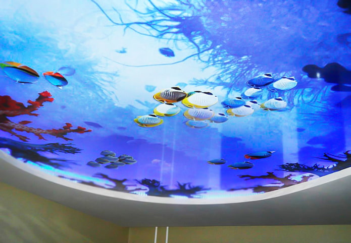 tak med 3D-fotoimitasjon av et akvarium