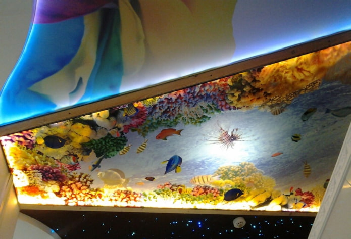 ceiling with 3D photo imitation of an aquarium