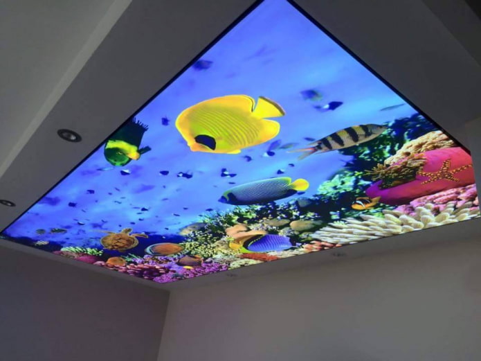 trần nhà với hình ảnh 3D giả của một hồ cá