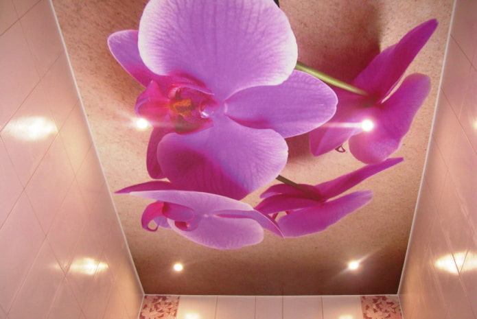 plafond orchidée