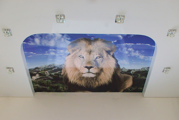 plafond de lion