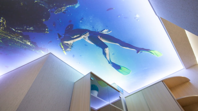 Plafond 3D avec l'image de la mer et du plongeur