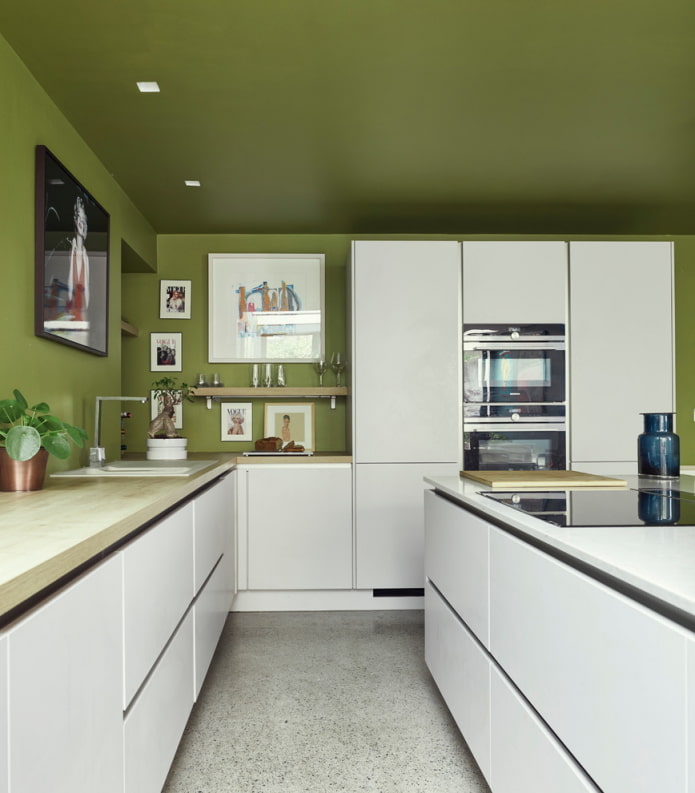 žalios lubos virtuvėje
