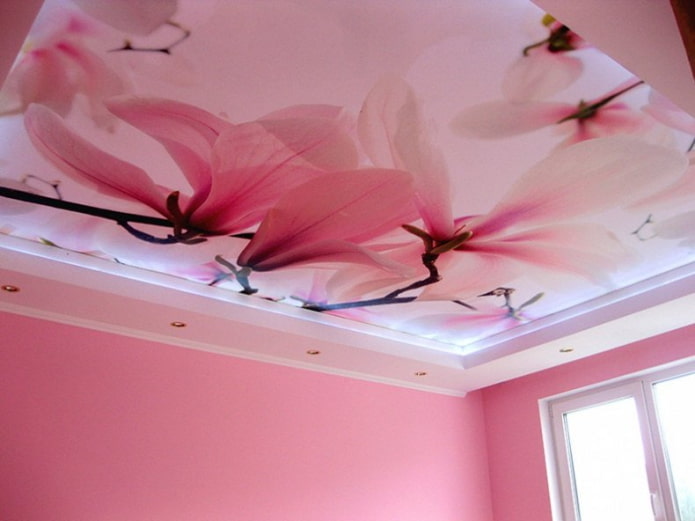 conception de plafond rose avec impression photo