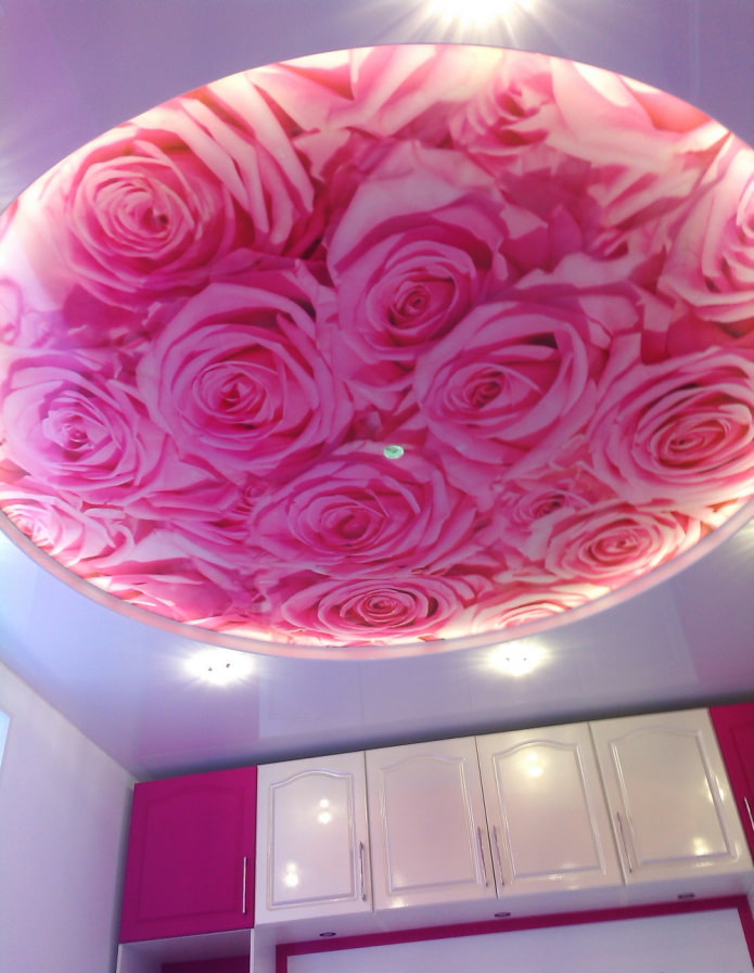 impresión fotográfica en el techo de una rosa