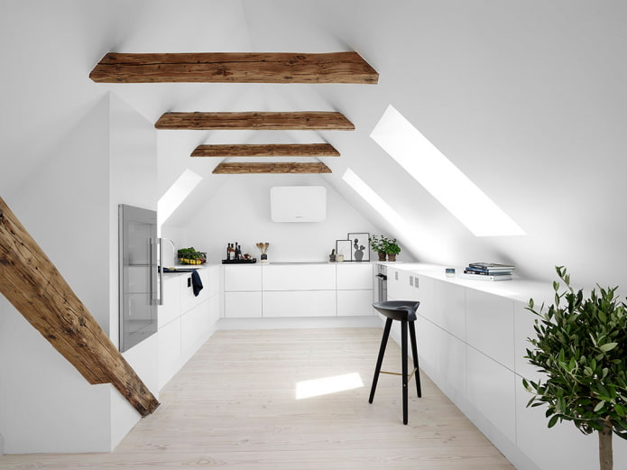 minimalist attic ceiling structure