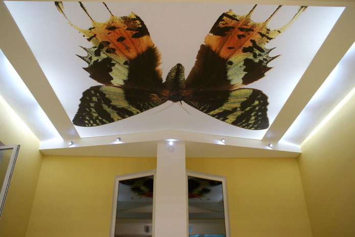 motýľ strop