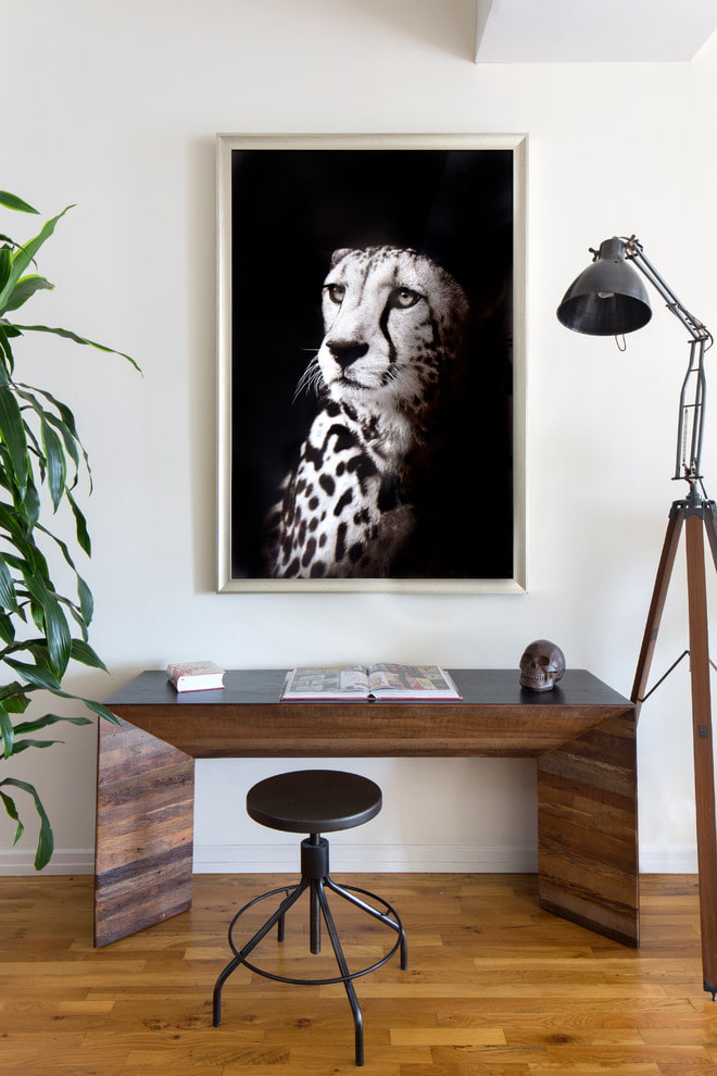 foto di un ghepardo all'interno