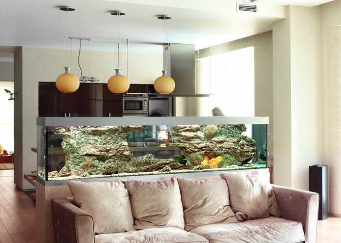 cloison avec un aquarium à l'intérieur de la cuisine-salon