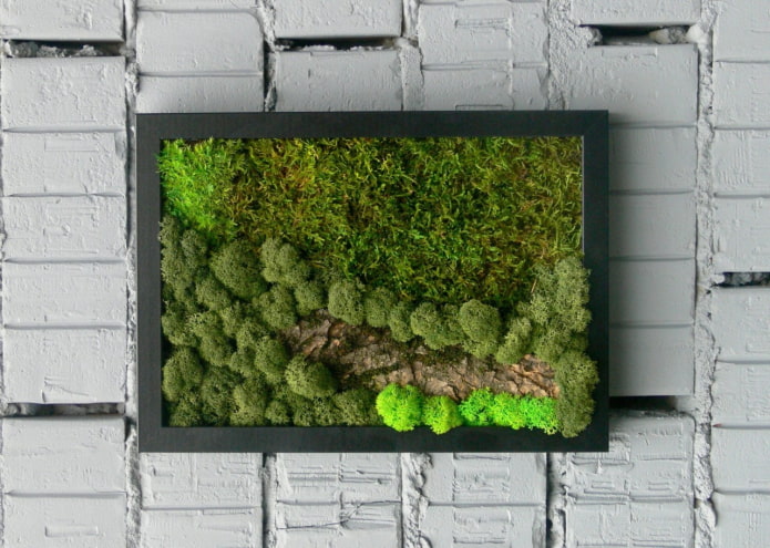 iç duvardaki yosun paneli