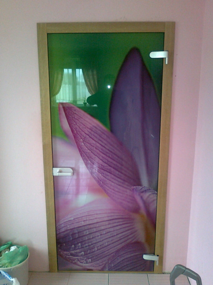 szklane drzwi z nadrukiem fotograficznym we wnętrzu