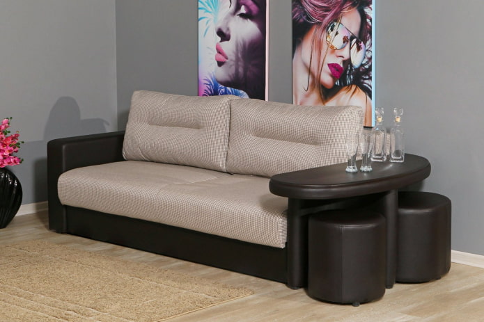 folding sofa with a table in the interior