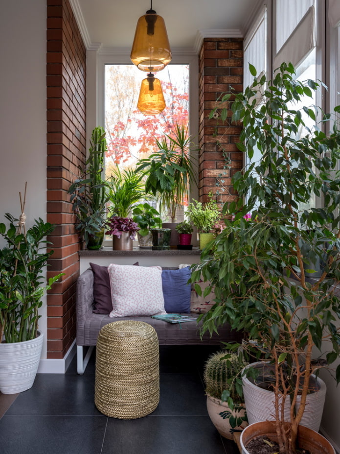 Indoor plants and red brick