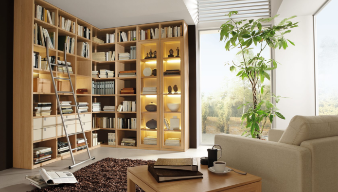 bookcase in the living room interior
