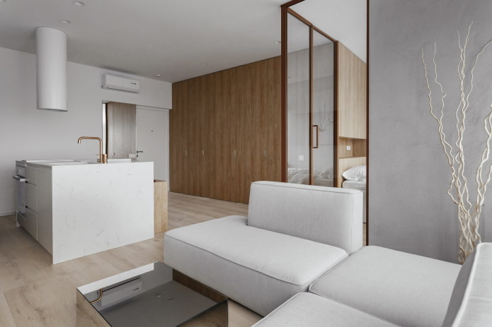 apartament de 40 de patrate în stilul minimalismului