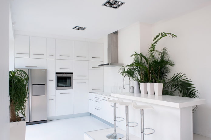 decor de bucătărie în stil minimalist