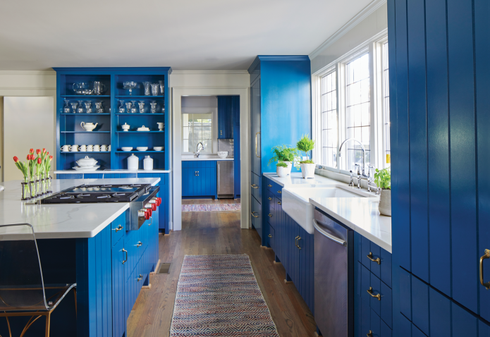 Sistemas de almacenamiento en el interior de la cocina en tonos azules.