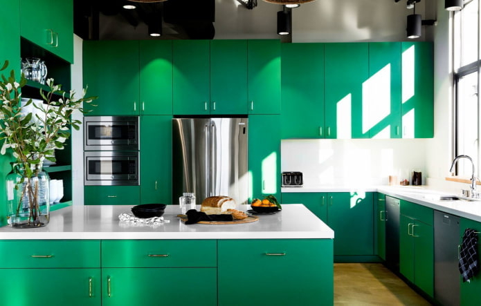 mobles a l'interior de la cuina en colors verds