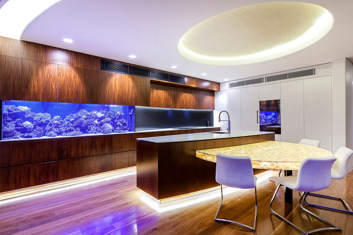 virtuvės interjeras su akvariumu