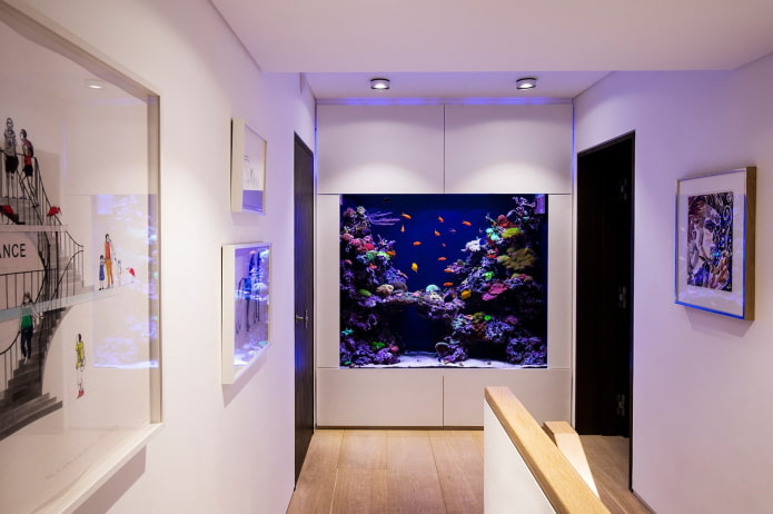 intérieur avec un aquarium intégré dans le mur