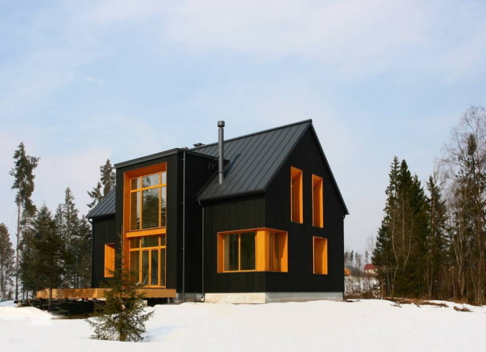 sort hus i skandinavisk stil