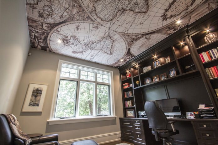 ceiling world map in cabinet