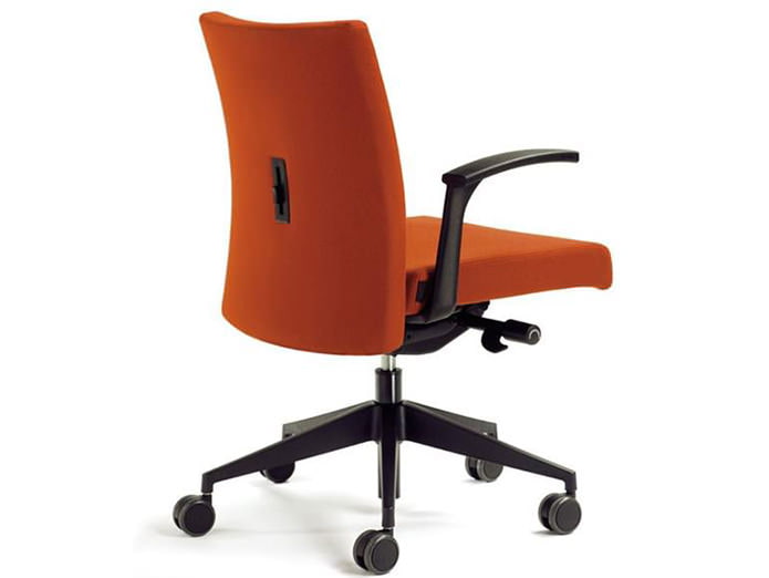The back and spine in the device office chair