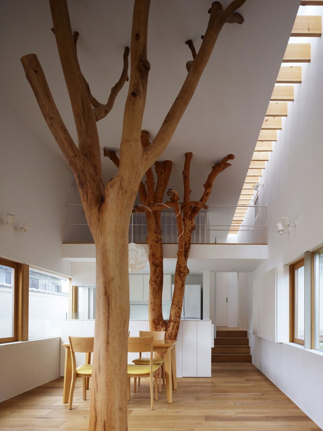 árvore dentro de casa