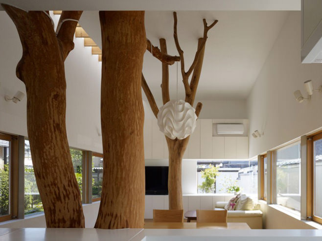 arbres à l'intérieur de la maison