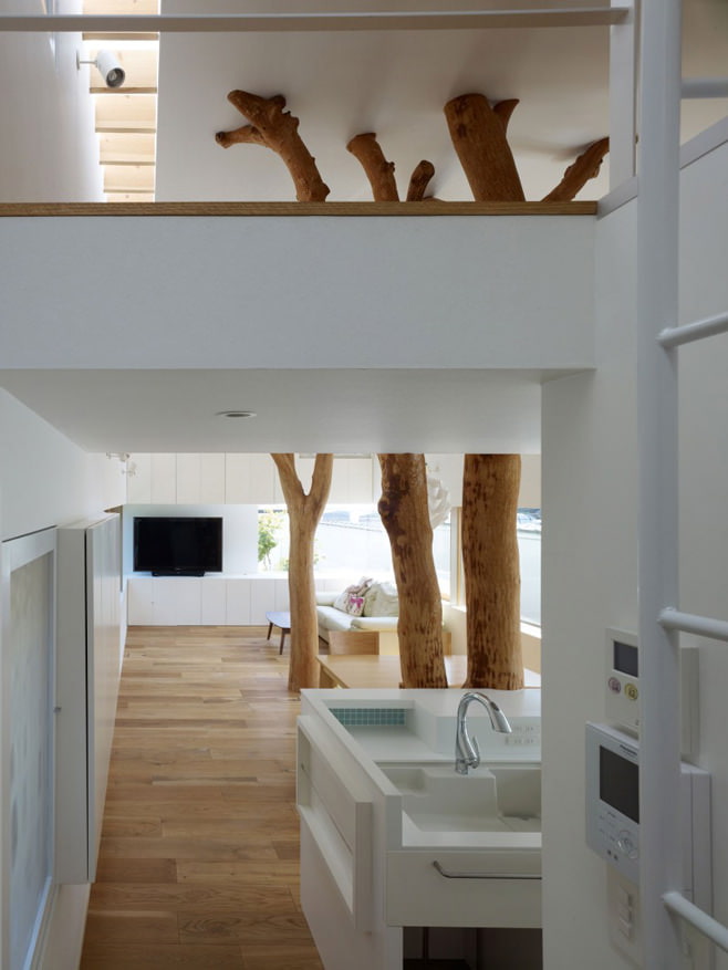 copaci din interiorul casei
