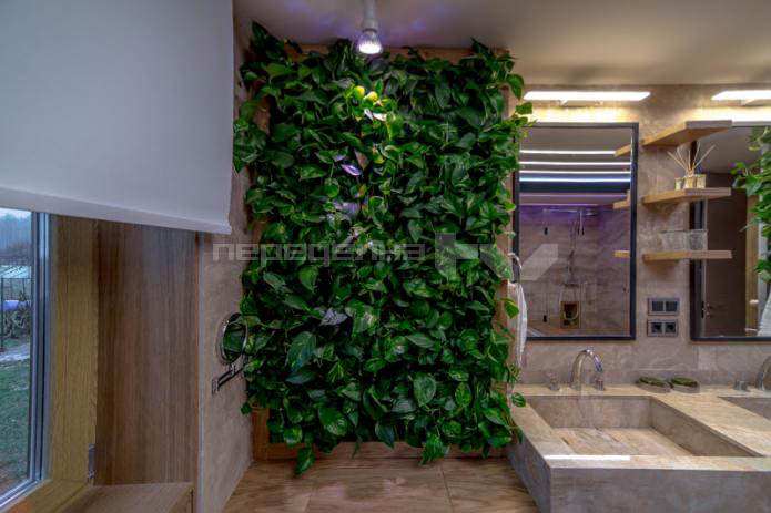 живи растения по стените във вътрешността на банята