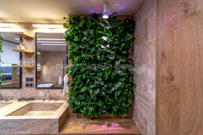 living plants on the walls in the interior of the bathroom